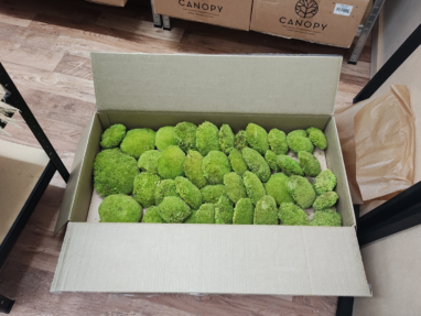 ball moss