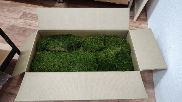 long moss