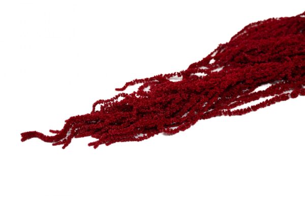 červený amaranth