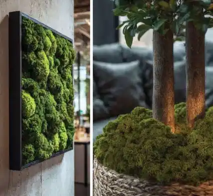 Dekoratívny machový obraz