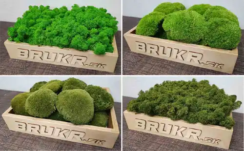 Stabilizovaný mach Brukr