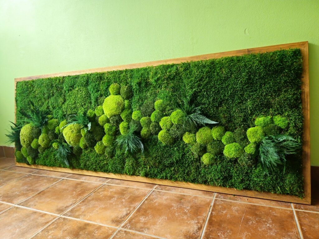 Široký panoramatický machový obraz v tmavom drevenom ráme s kopčekovým machom a papradím